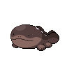 토오