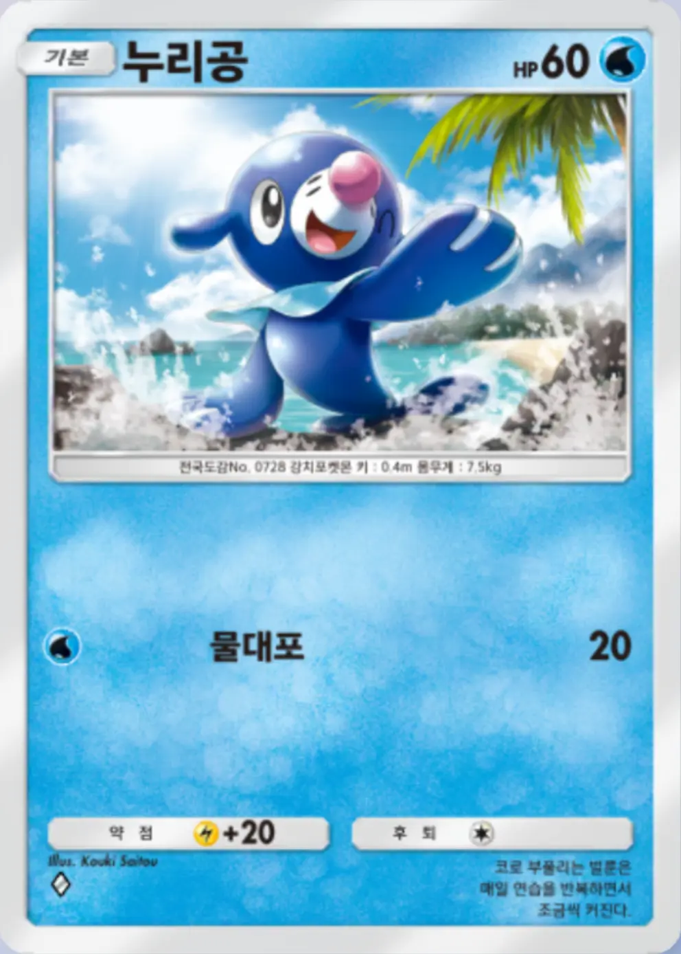 누리공(솔)