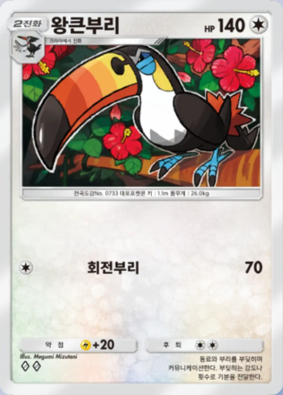 왕큰부리