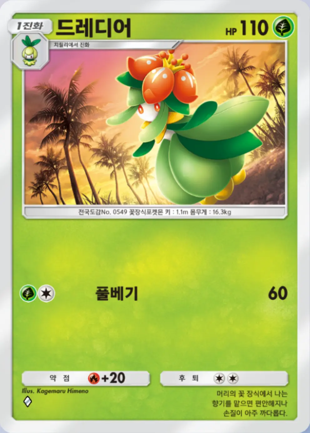 드레디어