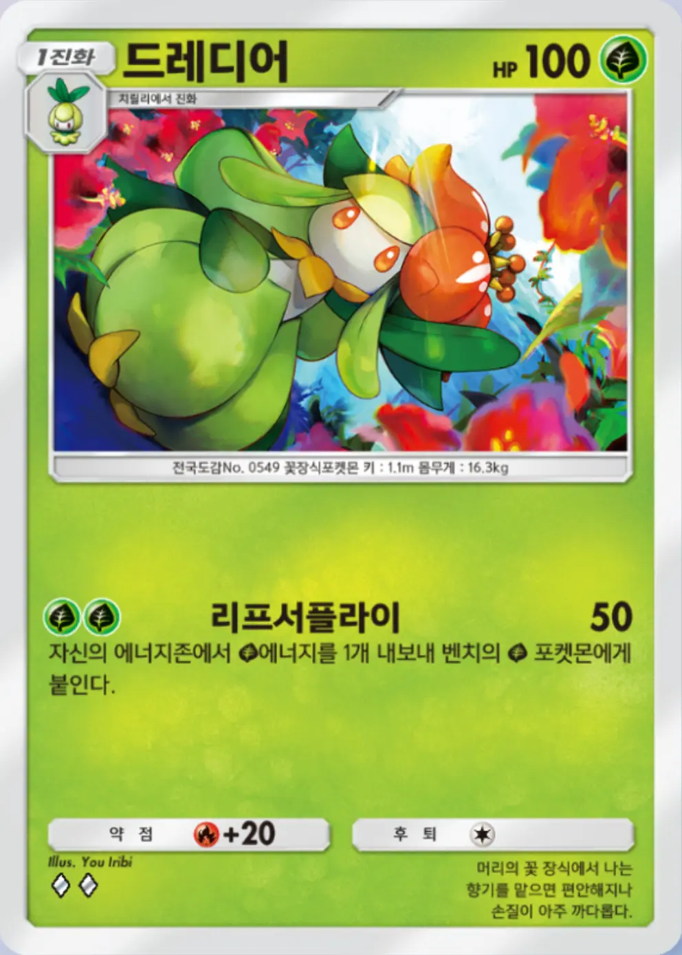 드레디어