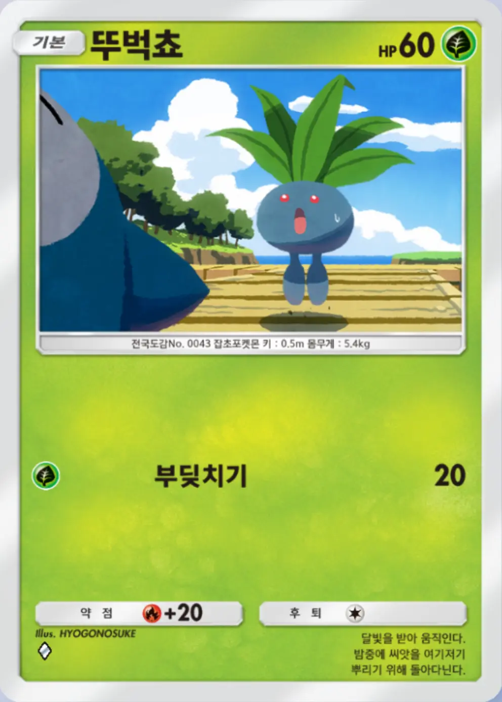 뚜벅쵸