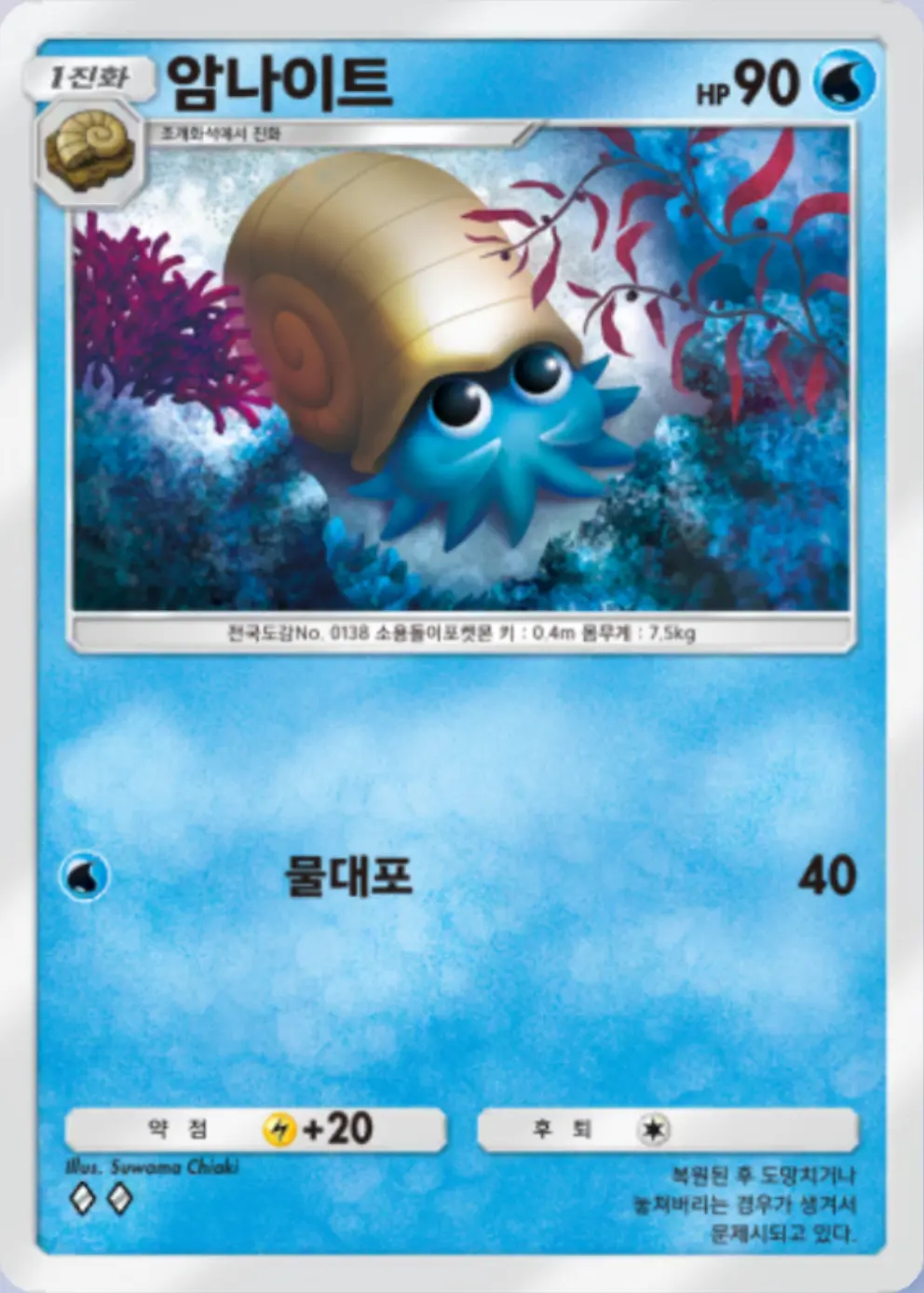 암나이트