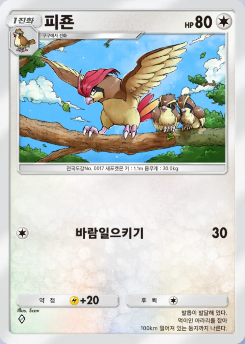 피죤
