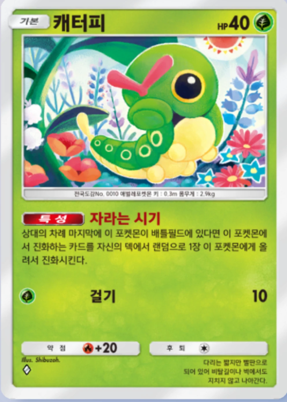 캐터피