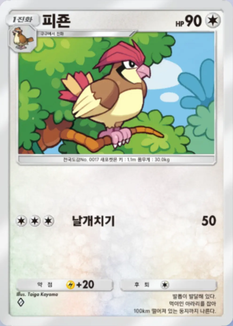피죤