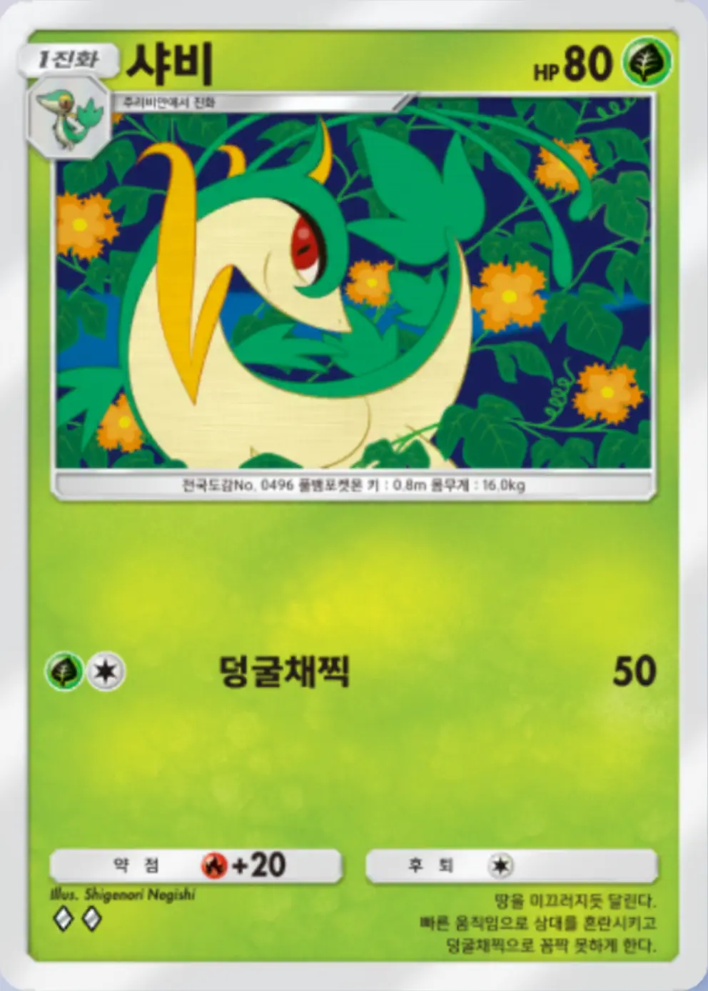 샤비