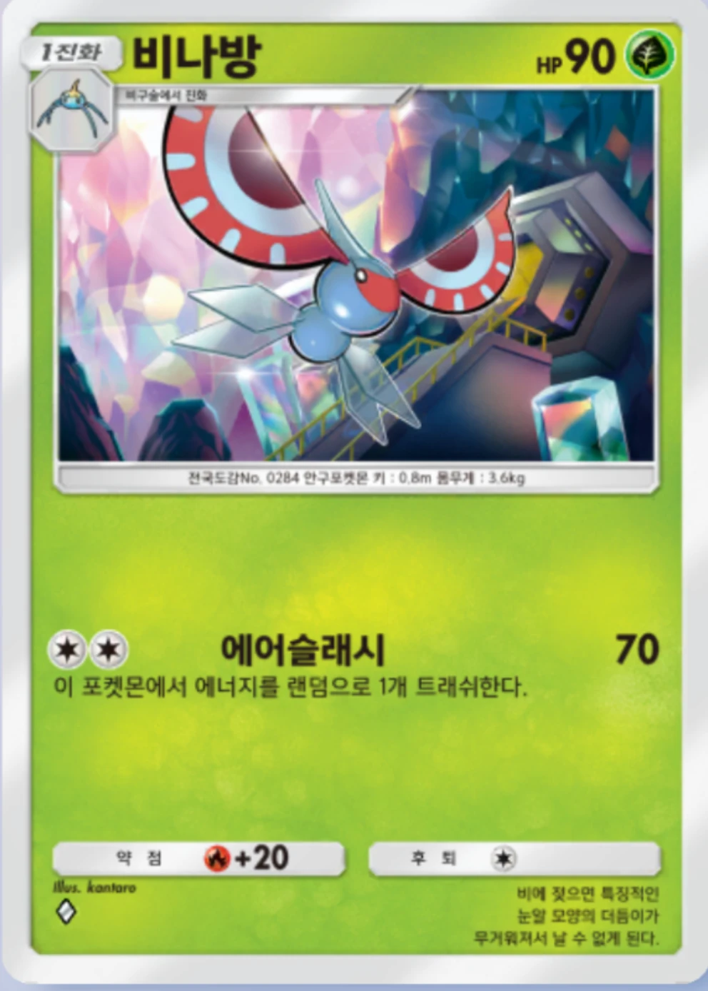 비나방