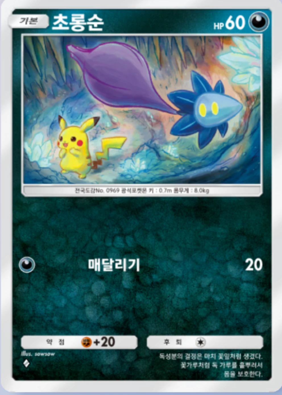 초롱순