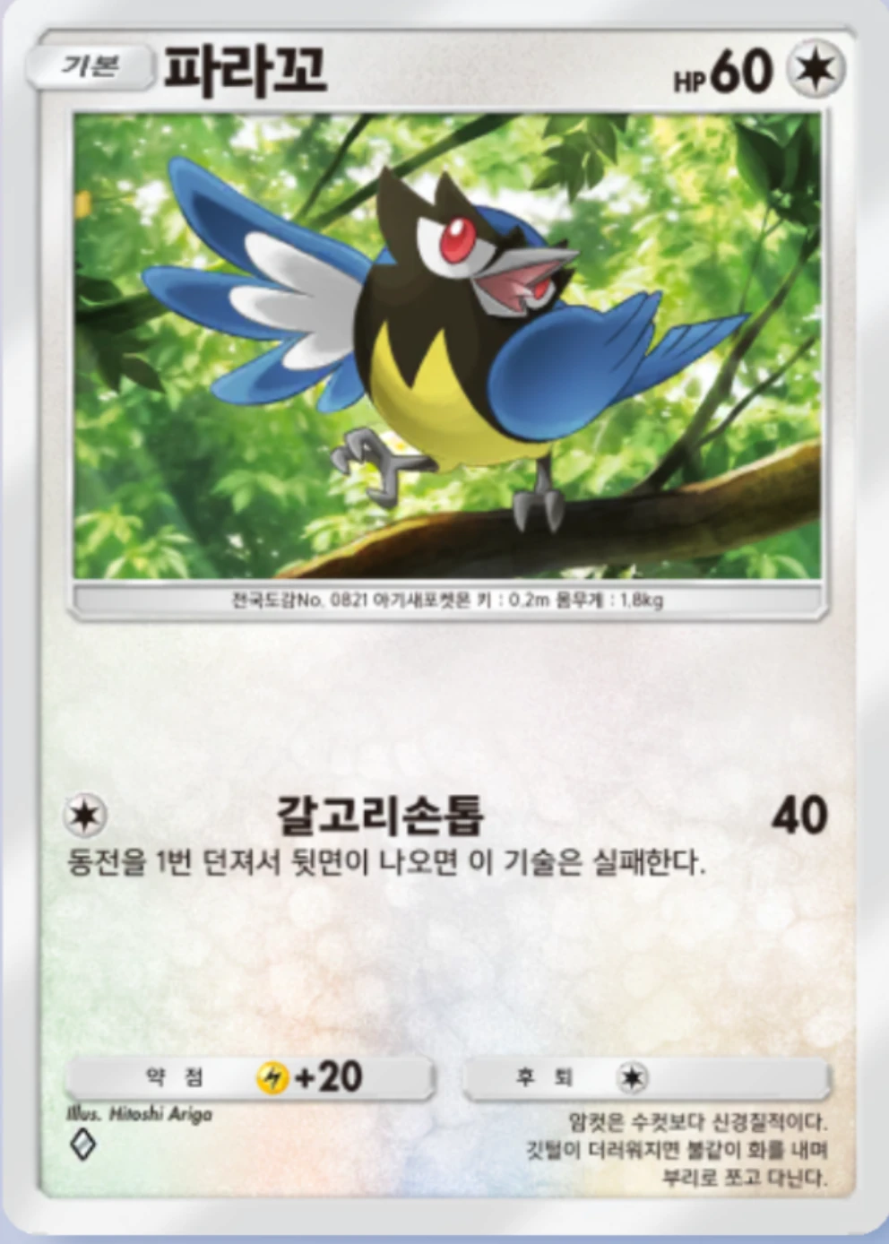 파라꼬
