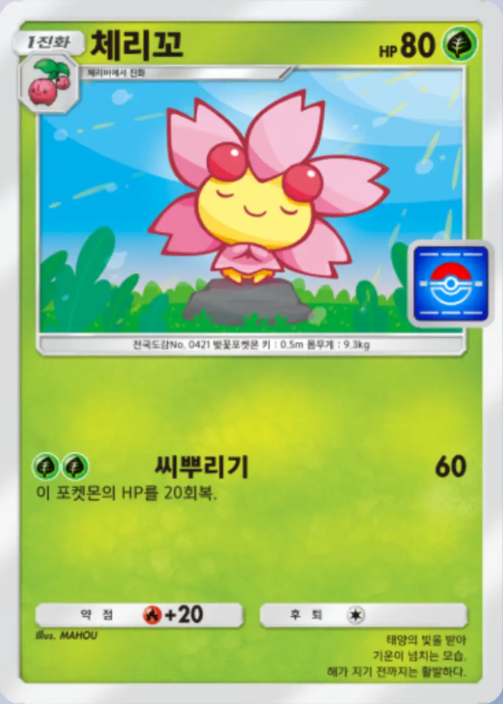 체리꼬