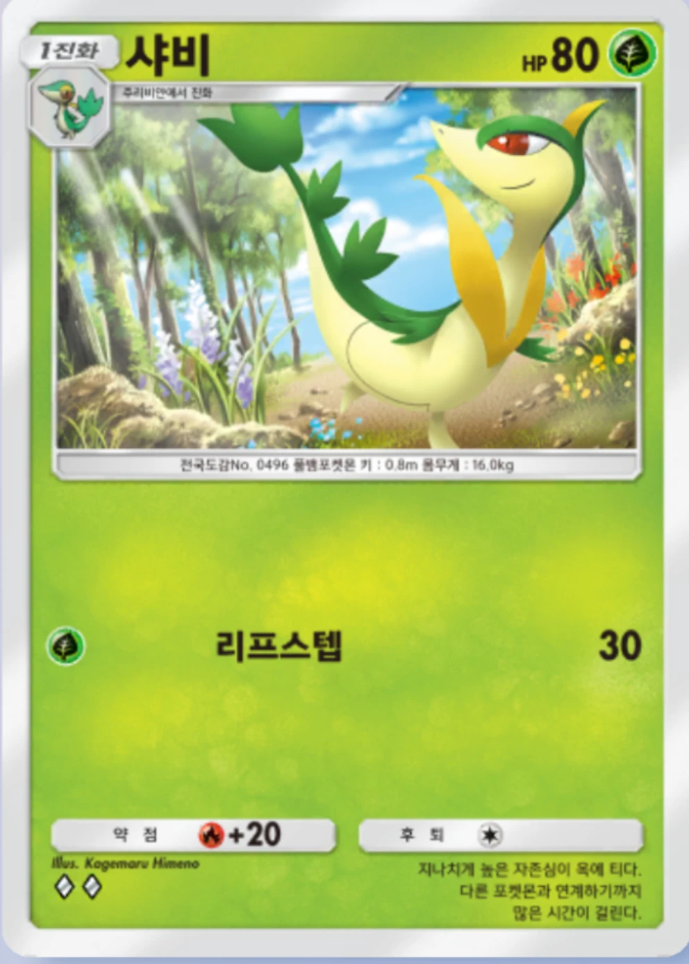샤비