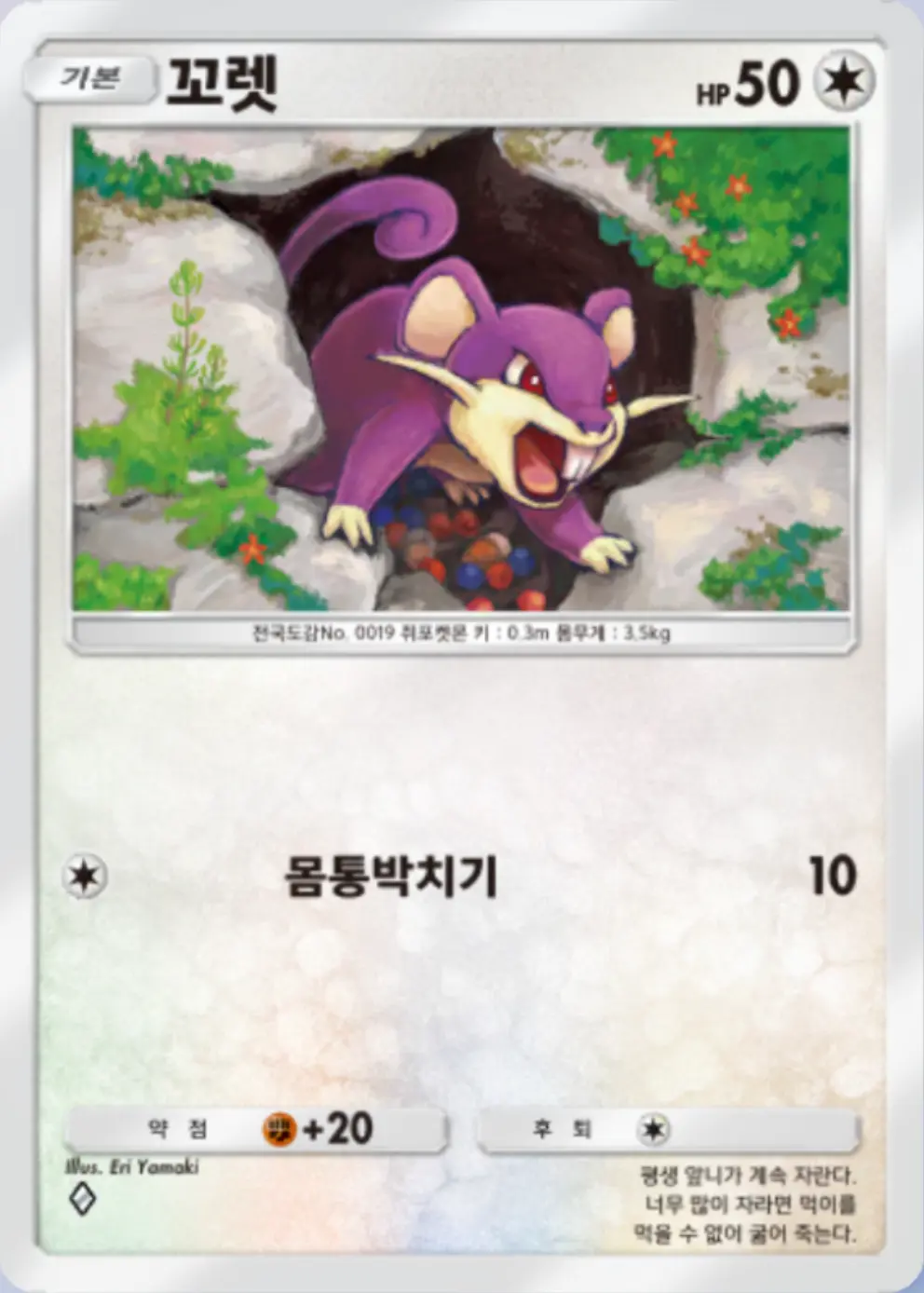 꼬렛