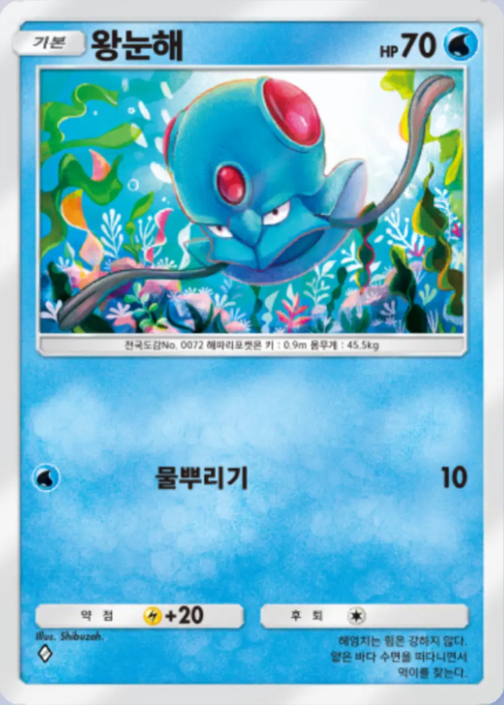 왕눈해