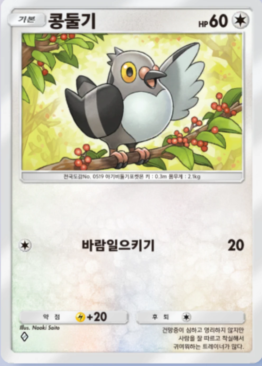 콩둘기