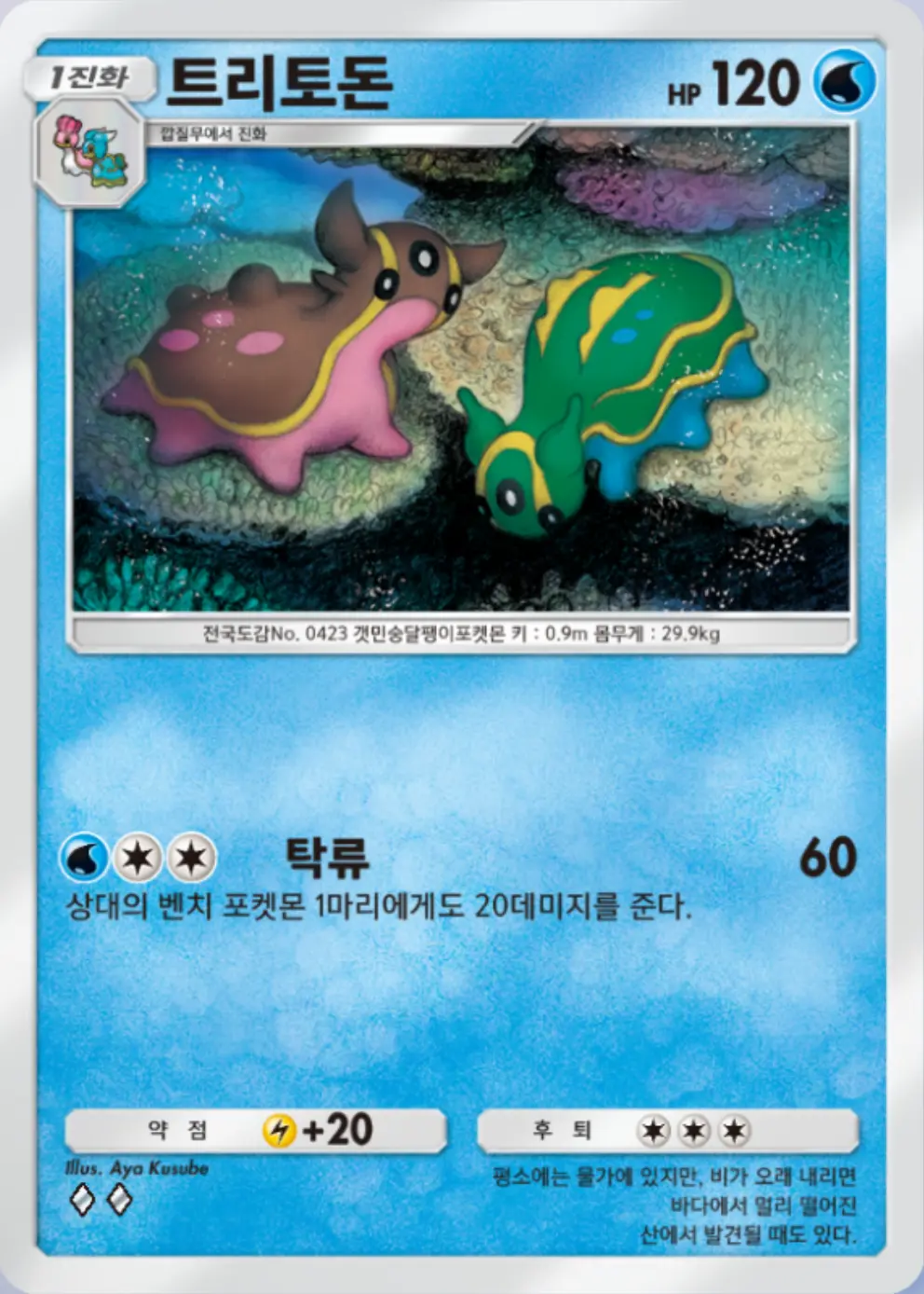 트로토돈