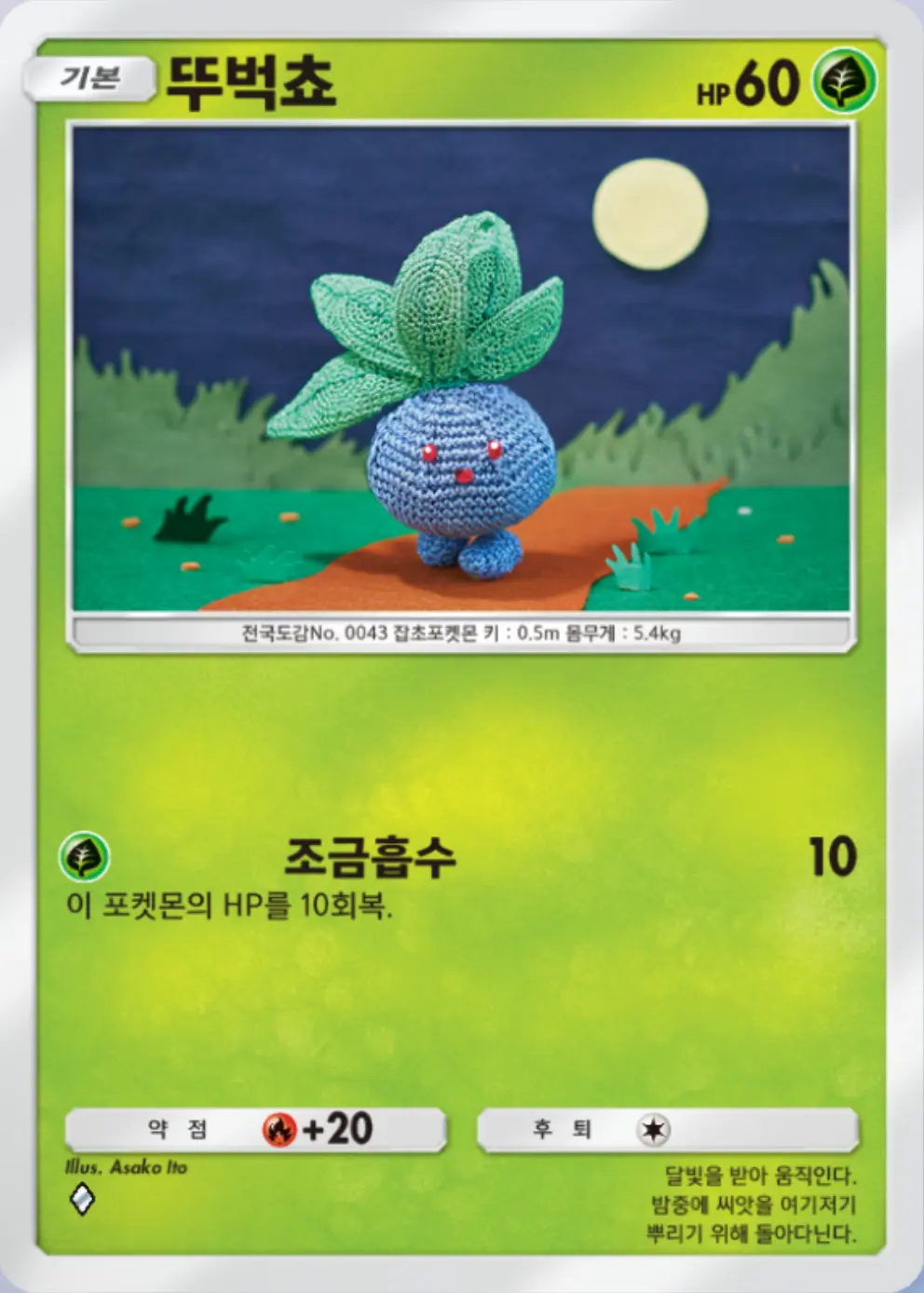 뚜벅쵸