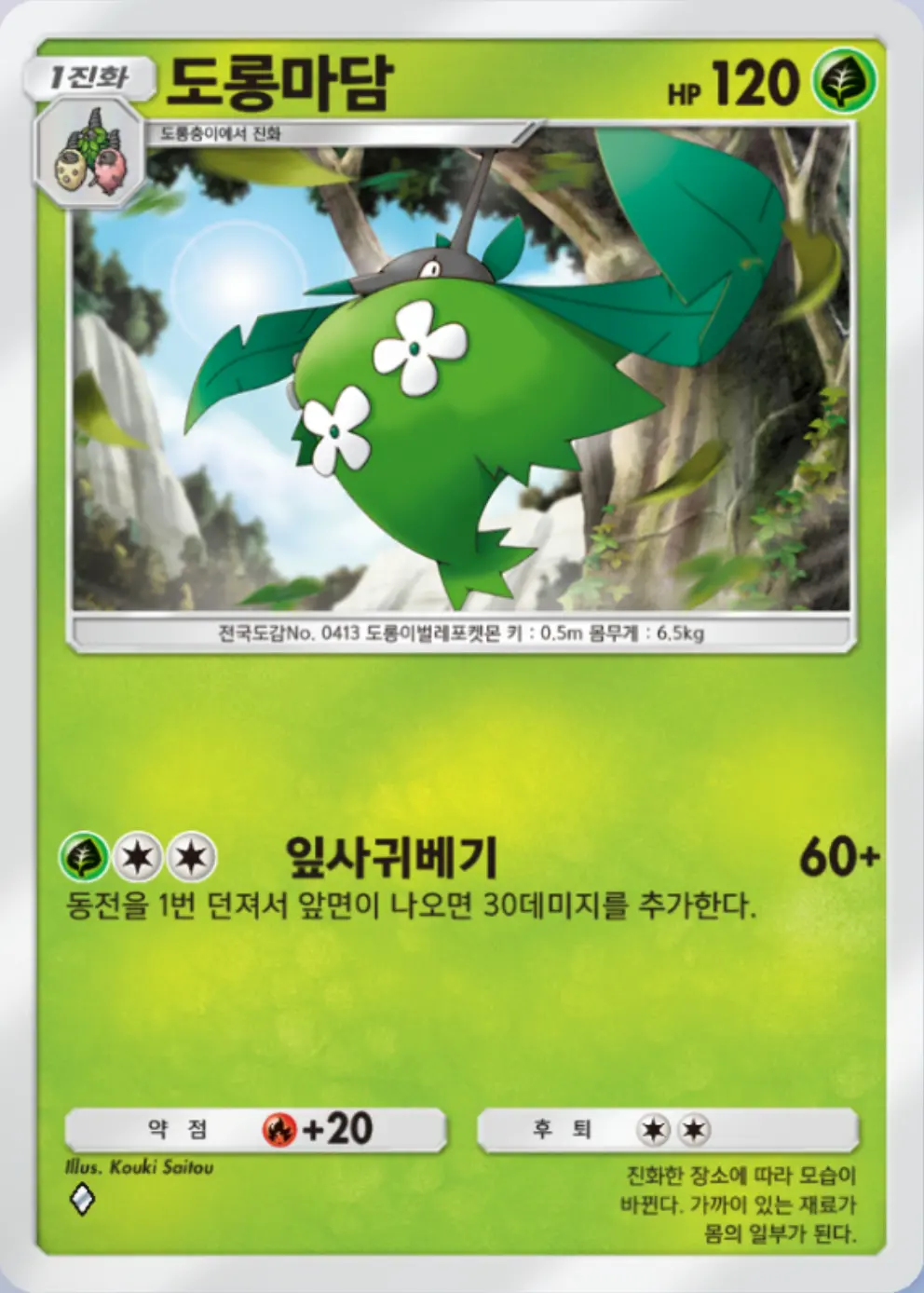 도롱마담(풀)