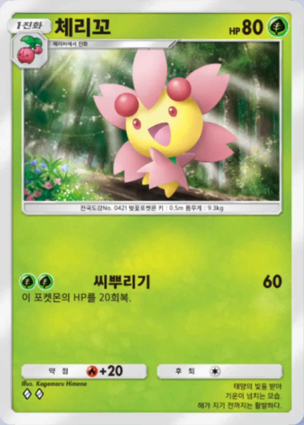 체리꼬(꽃)