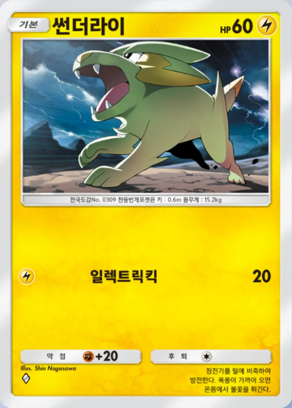 썬더라이