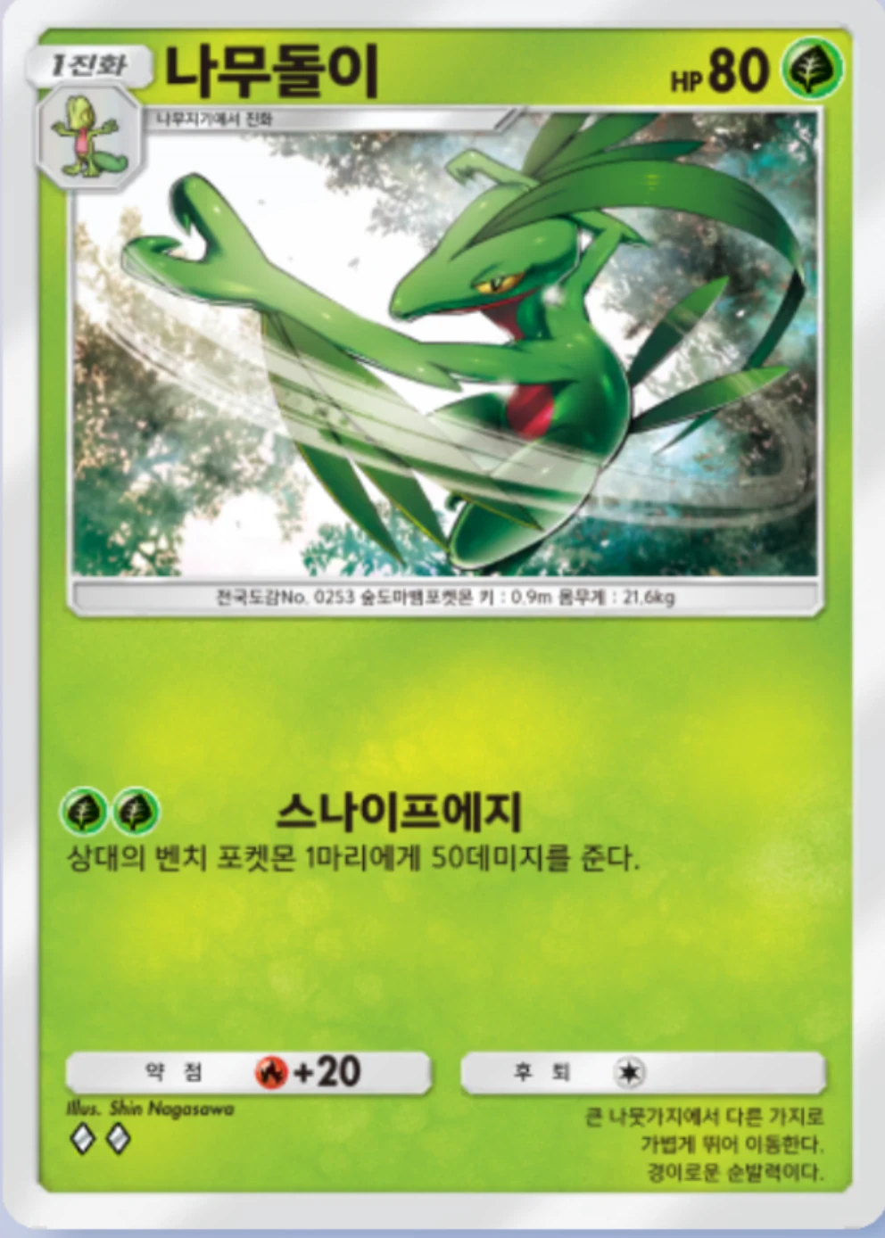 나무돌이