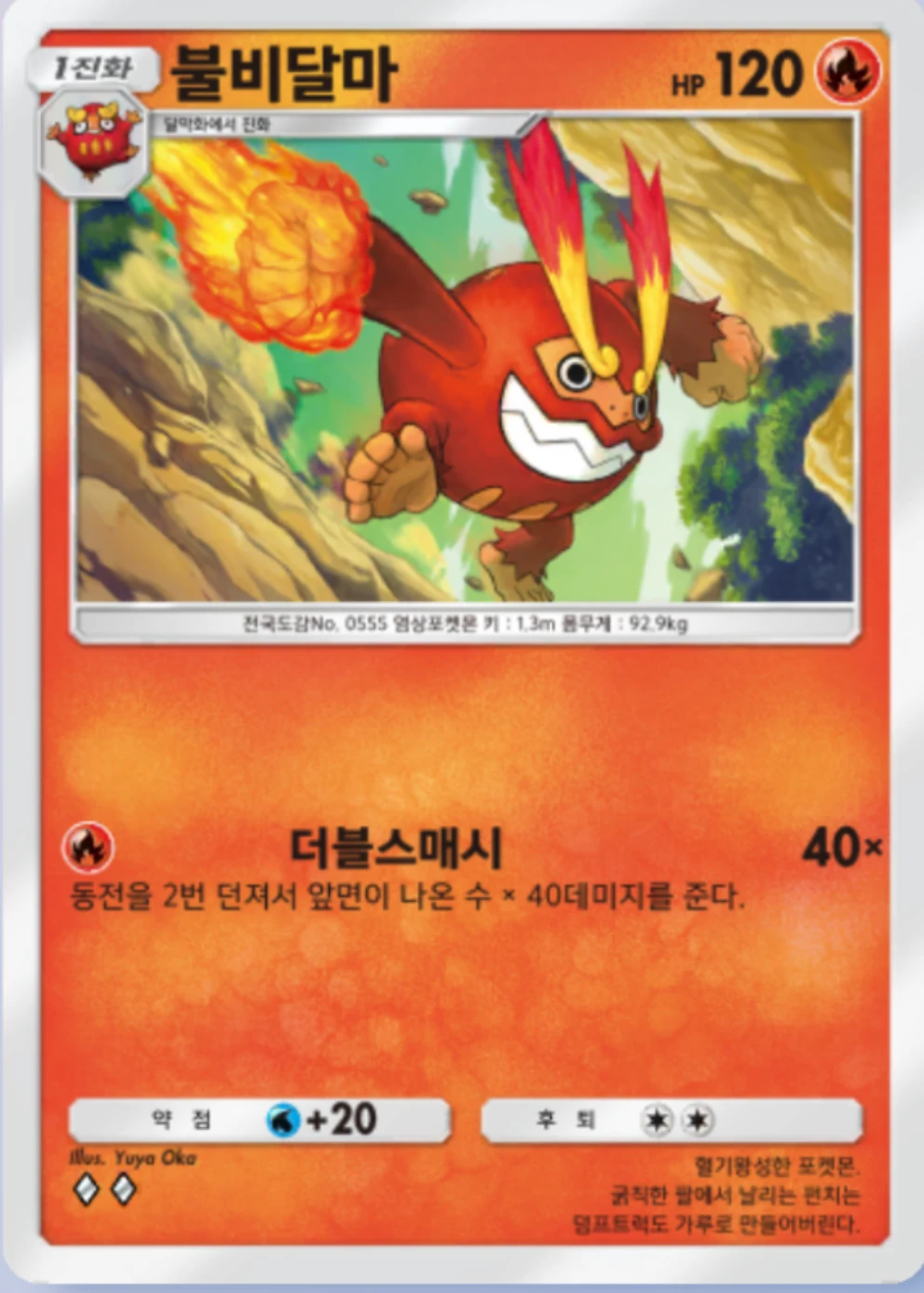 불비달마