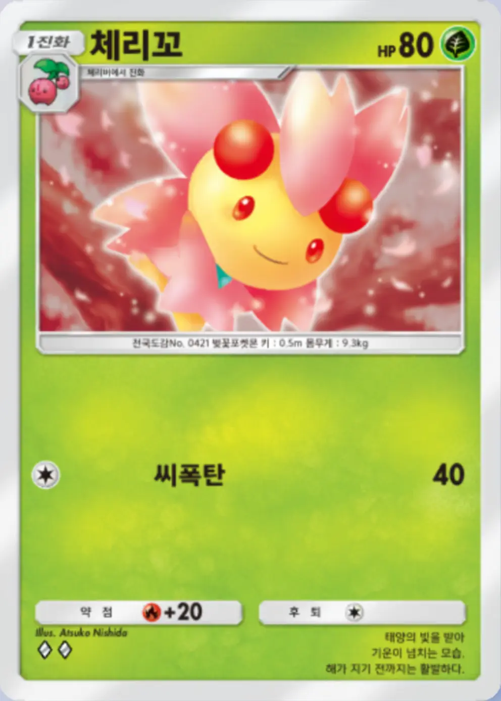 체리꼬