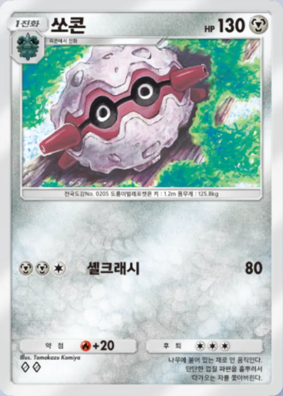 쏘콘