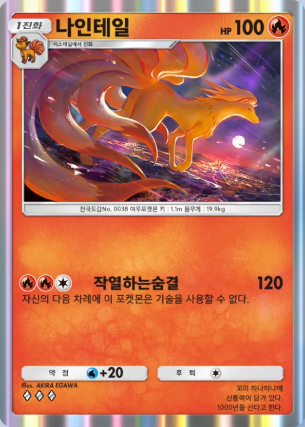나인테일