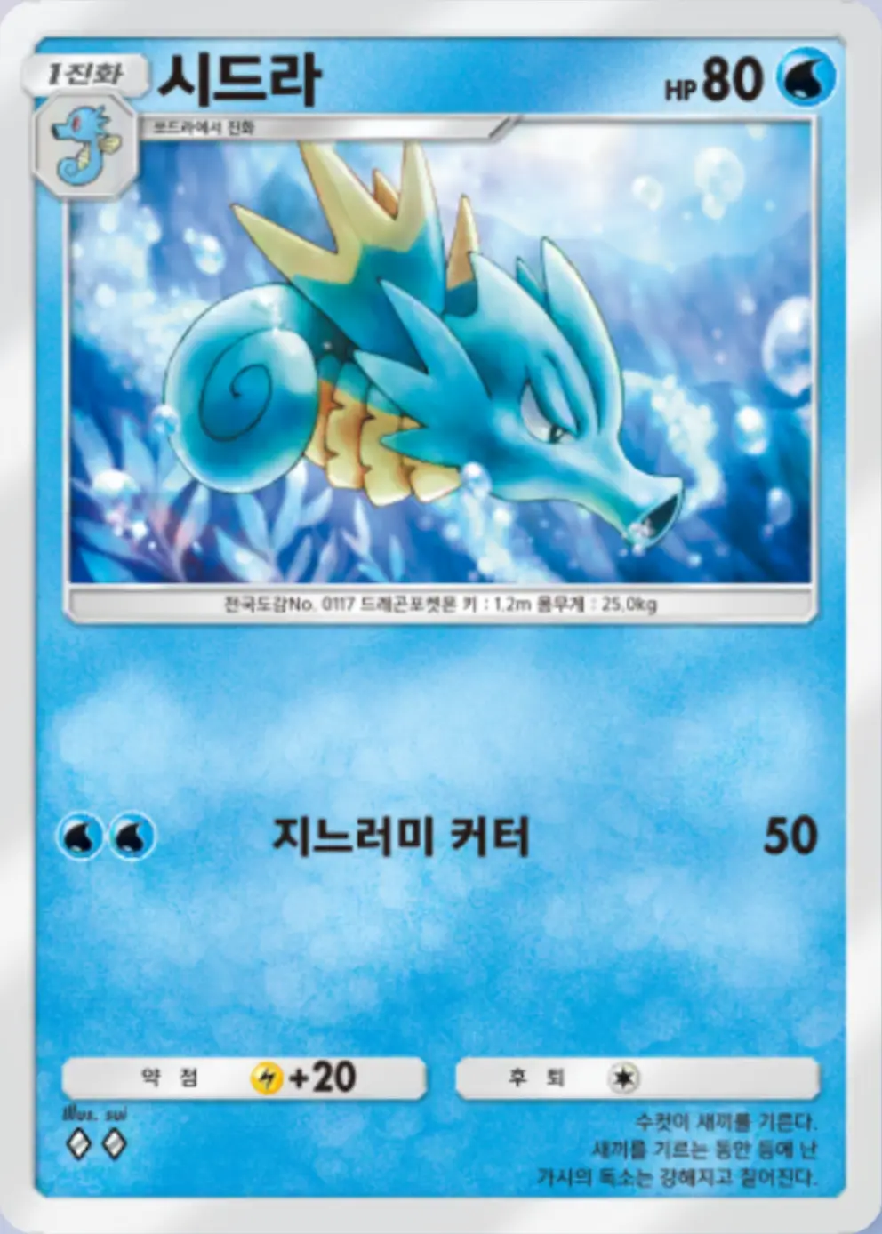 시드라