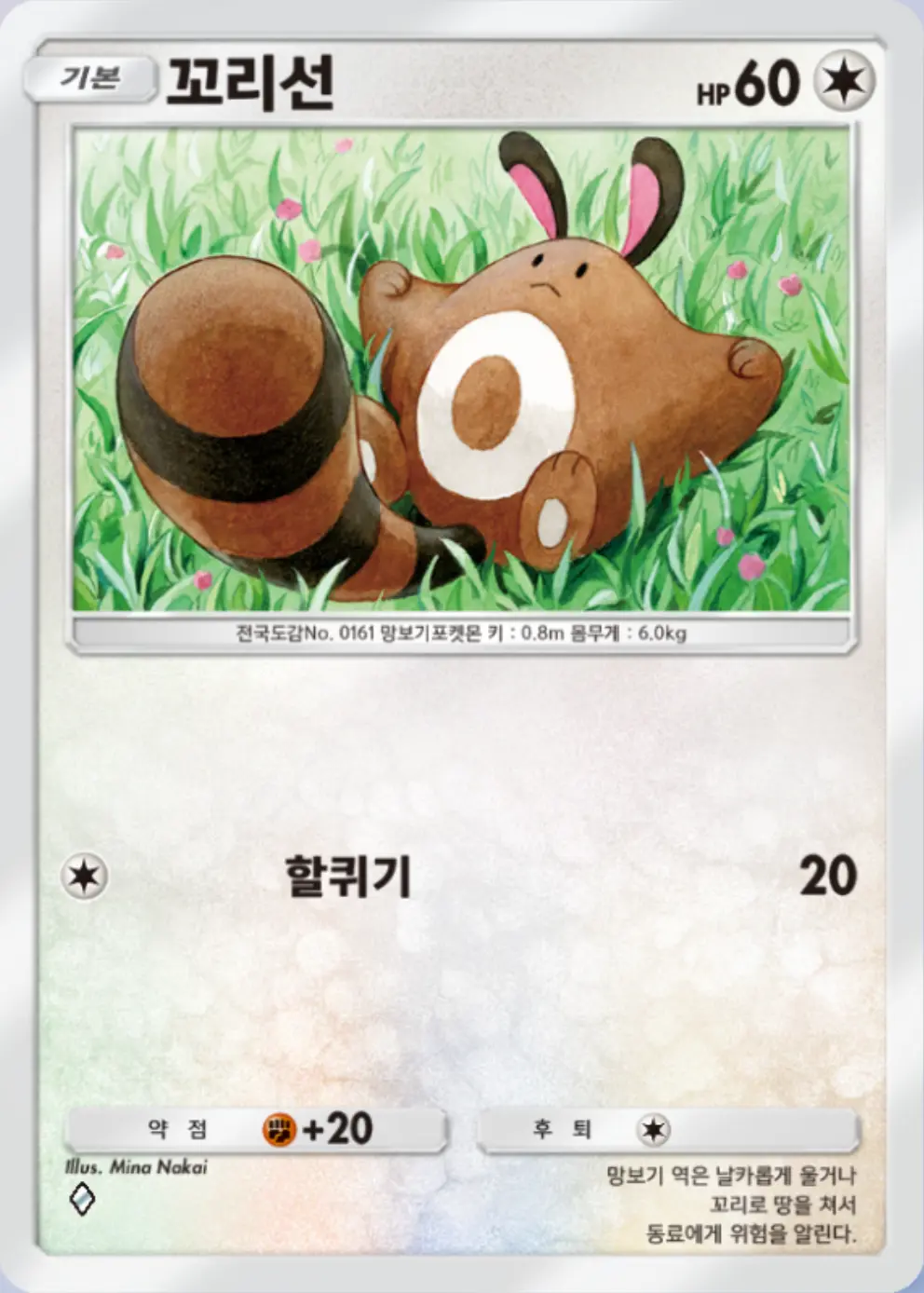 꼬리선