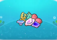 Coral congregation