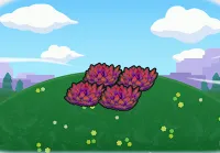 Elevated red tall grass