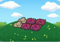 Grassy training field