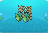 Seaweed and netting
