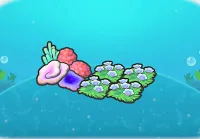 Swaying flower bed and coral