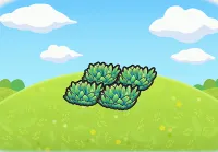 Tall Grass