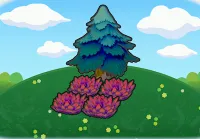 Tree-shaded red tall grass