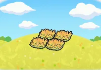 Yellow tall grass